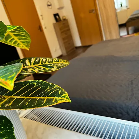 Ferienwohnung Karli'S Plaetzchen Gera Exterior foto